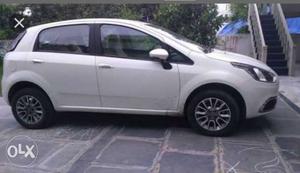 Fiat Punto Evo diesel  Kms  year