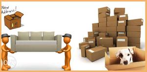 Top packers and movers