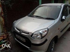 Maruti Suzuki Alto 800 petrol  Kms  year