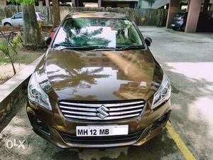 Well maintained Ciaz Zxi - May  kms for 