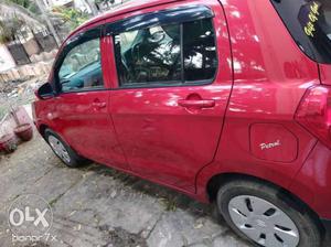  Maruti Suzuki Celerio petrol  Kms