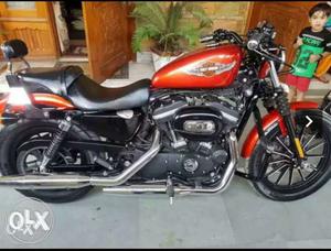 Harley iron 883 showroom condition with company