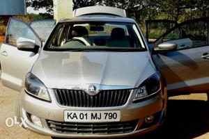  Skoda Rapid diesel  Kms