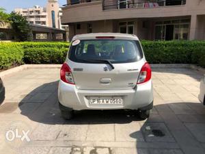 Celerio ZXI (SILKY SILVER) 5 STR just  KM,Lady