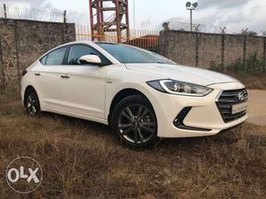 Hyundai New Elantra petrol  Kms  year