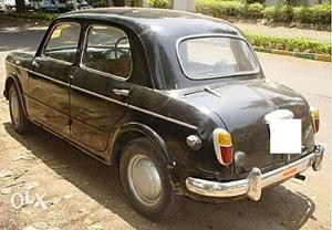 " GJD  " Fiat  Looking for This Car