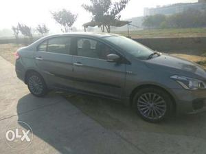 Maruti Suzuki Ciaz Zdi (o), , Petrol