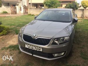 Skoda Octavia Tdi (Automatic)