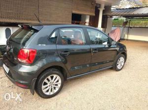 Volkswagen Polo Gt Tsi, , Petrol