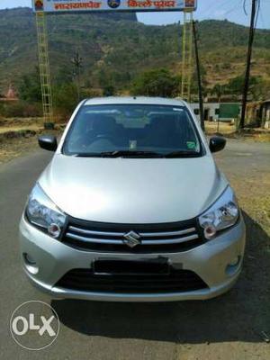  Maruti Suzuki Celerio petrol  Kms