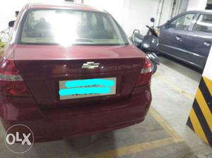  Chevrolet Aveo petrol  Kms