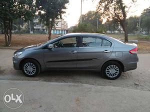  Maruti Suzuki Ciaz petrol 700 Kms