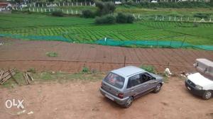  Maruti Suzuki 800 petrol  Kms