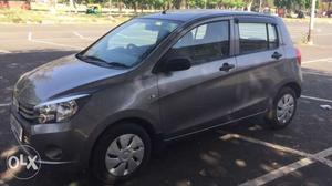 Maruti Suzuki Celerio petrol  Kms  year