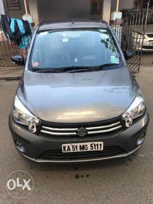 Maruti Suzuki Celerio petrol  Kms  year