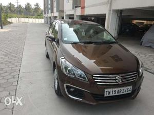 Maruti Ciaz  July Sale