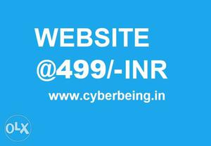 Website just 499 life time
