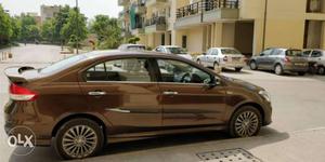 Maruti Suzuki Ciaz petrol  Kms  year