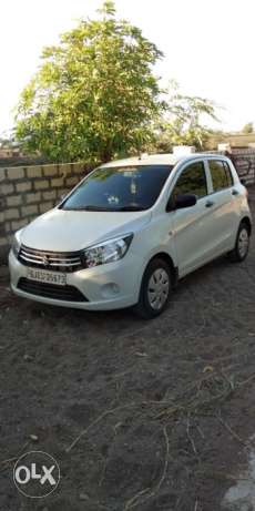 Maruti Suzuki Celerio petrol  Kms  year