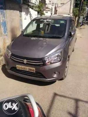 Maruti Suzuki Celerio petrol  Kms  year