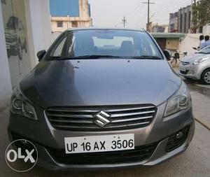 Maruti Suzuki Ciaz Vxi, , Petrol