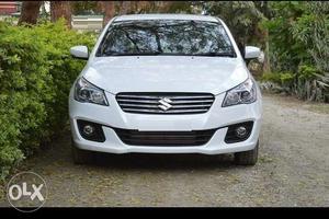 Maruti Suzuki Ciaz Zdi Shvs, , Diesel