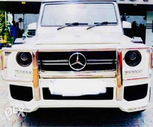 Mercedes-benz G Class, , Petrol