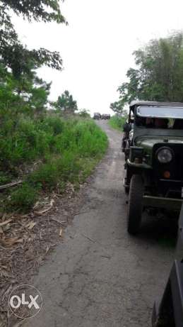 Willys Jeep For Sale