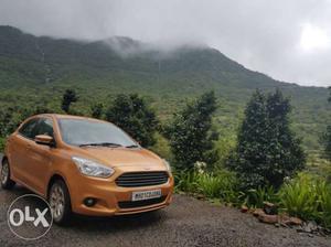 Ford Figo petrol  Kms  year