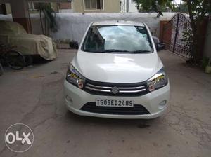 Maruti Suzuki Celerio petrol  Kms  year