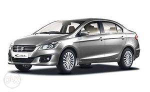 Maruti Suzuki Ciaz petrol  Kms  year