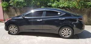 Hyundai Elantra petrol  Kms  year