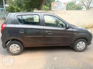 Maruti Suzuki Alto 800 Lxi, , Petrol