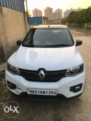 Renault Kwid petrol  Kms  year