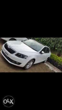 Skoda Octavia petrol  Kms  year