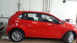 Volkswagen Polo petrol  Kms  year