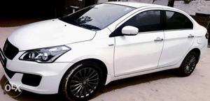  Maruti Suzuki Ciaz diesel  Kms