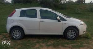 Limited time..Fiat Grand Punto petrol  Kms  year