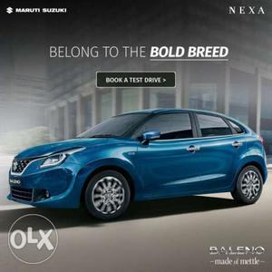 For New Nexa (Maruti Suzuki) Call for New car
