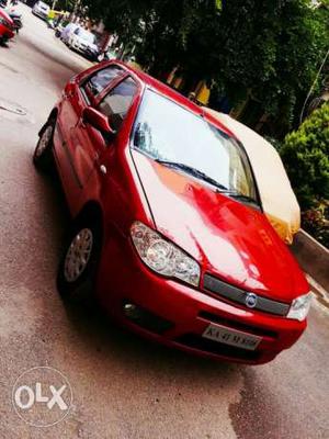 Fiat Punto Evo petrol  Kms  year