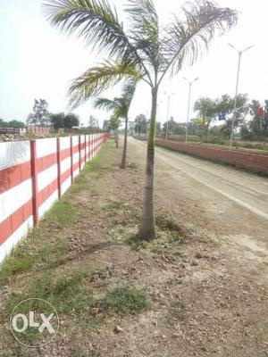 Plots on sell immediate possession prime location