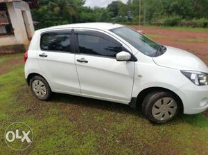 Maruti Suzuki Celerio petrol  Kms  year