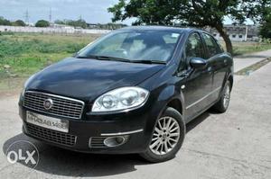 Fiat Linea petrol  Kms  year