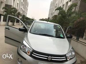 Maruti Suzuki Celerio petrol  Kms  year