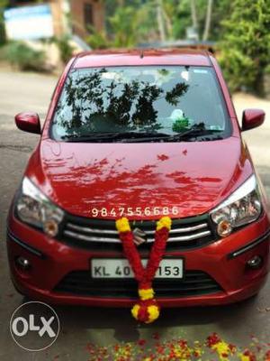 Maruti Suzuki Celerio petrol  Kms  year