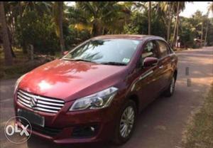 Maruti Suzuki Ciaz Zdi+ Shvs, , Diesel