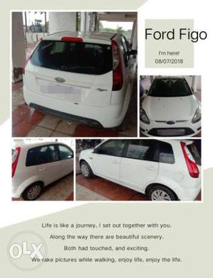 Ford Figo cng  Kms  year