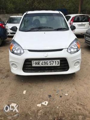 Maruti Suzuki Alto 800 petrol  Kms  year