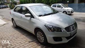 Maruti Suzuki Ciaz Zdi Bs Iv, , Diesel