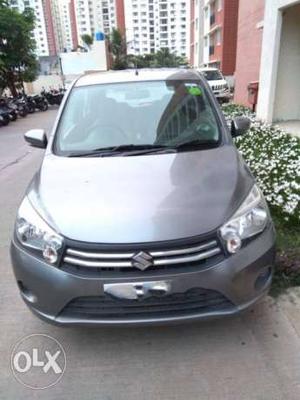  Maruti Suzuki Celerio petrol  Kms